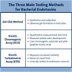 bet testing